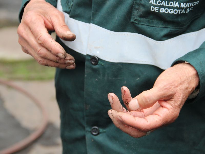 A través de las manos